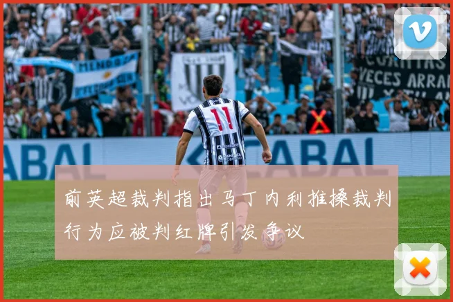前英超裁判指出马丁内利推搡裁判行为应被判红牌引发争议